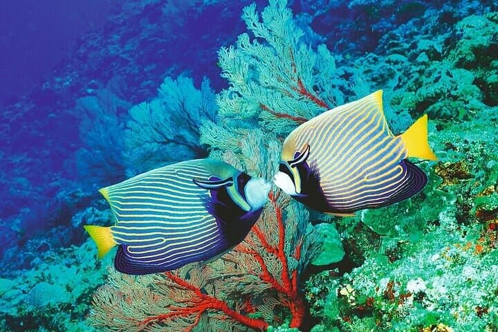 Palma Aquarium with Transfer: Full-Day Marine Experience in Mallorca photo 6