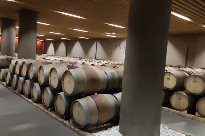 Nafplio to Nemea Private Wine Tour — Agiorgitiko Tastings & Ancient Sites photo 2