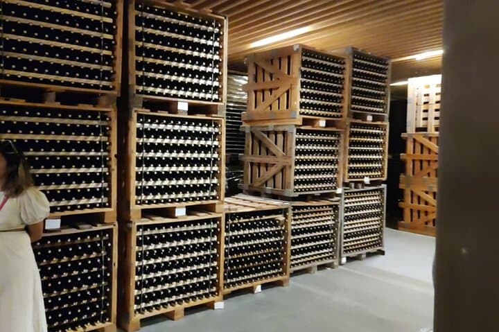 Nafplio to Nemea Private Wine Tour — Agiorgitiko Tastings & Ancient Sites photo 3