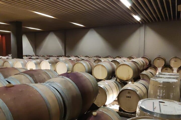 Nafplio to Nemea Private Wine Tour — Agiorgitiko Tastings & Ancient Sites photo 4