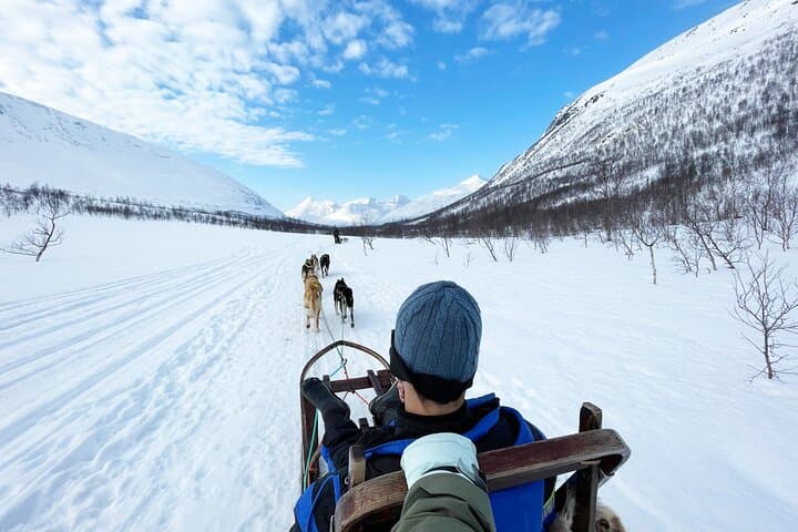 Self-Drive Husky Safari from Tromsø — Dog Sledding in the Lyngen Gateway photo 1