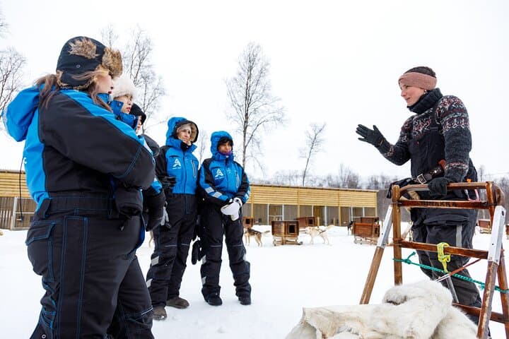 Self-Drive Husky Safari from Tromsø — Dog Sledding in the Lyngen Gateway photo 4
