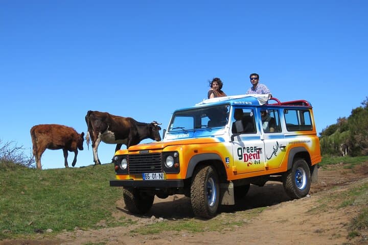 Madeira West Open-Top Jeep: Fanal Forest, Porto Moniz Lava Pools & Paul da Serra photo 2