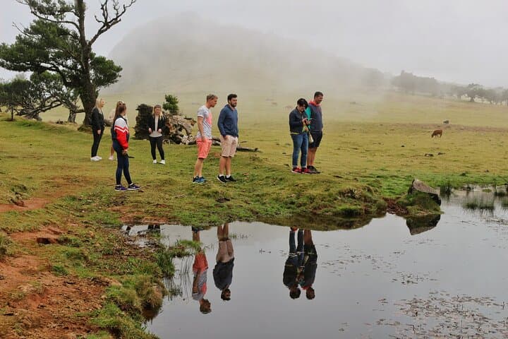 Madeira West Open-Top Jeep: Fanal Forest, Porto Moniz Lava Pools & Paul da Serra photo 4
