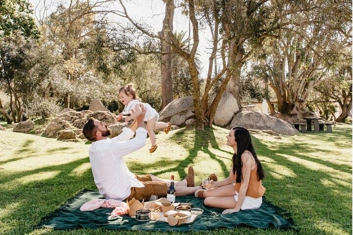 Family-Friendly Wine Tour: Cape Town to Stellenbosch & Franschhoek photo 5