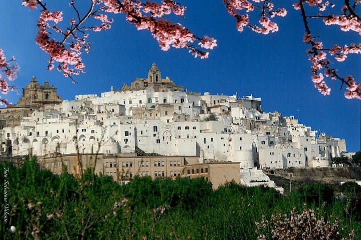 Puglia's Three White Pearls: Alberobello, Locorotondo & Martina Franca Day Tour