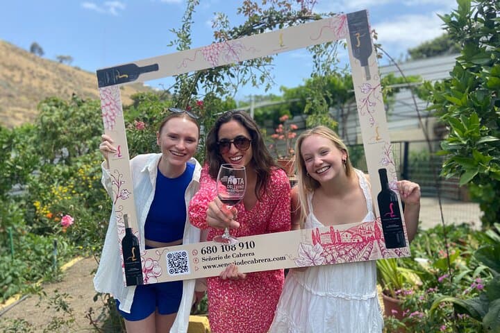 Gran Canaria Volcano Wine Tour — Taste Unique Canary Island Wines photo 4