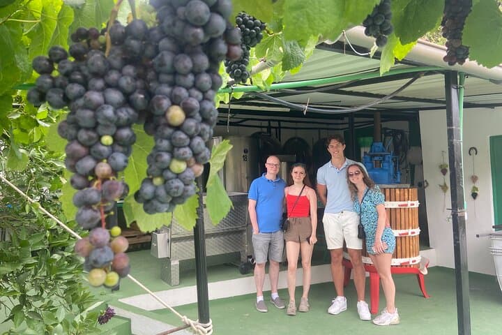 Gran Canaria Volcano Wine Tour — Taste Unique Canary Island Wines photo 5