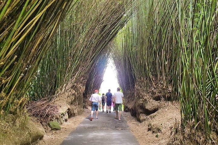 Explore Reunion Island on a Private Guided Day Tour: Waterfalls, Beaches & Cultural Sites photo 2