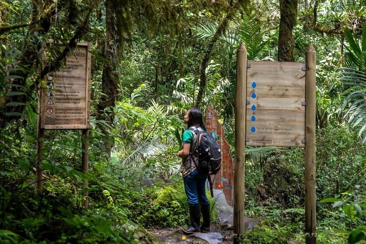 Los Frailes Waterfall Trek (Yarumo Blanco) — Guided Hike from Pereira or Armenia