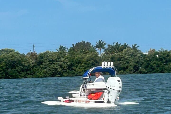 Sarasota CraigCat Sightseeing: 2-Hour HydroCats Tour of Sarasota Bay photo 2