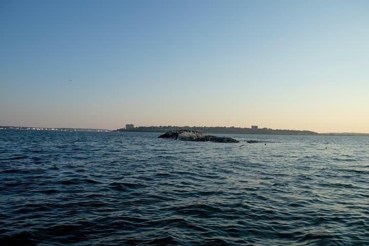 Sunset Lighthouse Cruise on Casco Bay with Local Drinks photo 3
