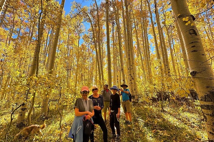 Privately Guided Scenic Mountain Hike in Park City — 2-Hour Private Trails & Photo Spots photo 1