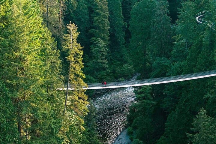 Capilano Suspension Bridge Park: Bridge, Cliffwalk & Treetops Near Vancouver photo 2