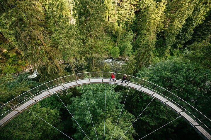 Capilano Suspension Bridge Park: Bridge, Cliffwalk & Treetops Near Vancouver photo 3