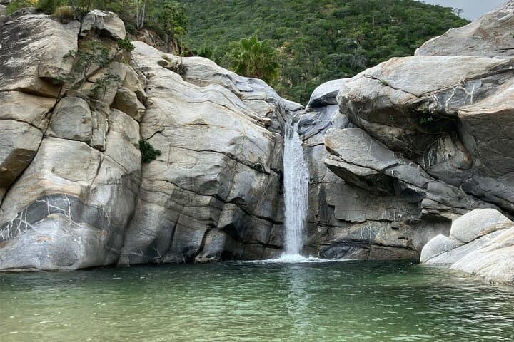 Sierra de la Laguna Waterfall Hike — Private Day Trip from Cabo San Lucas