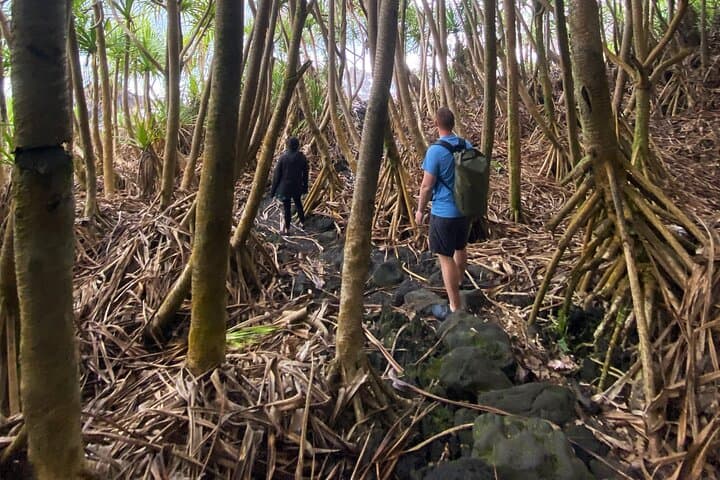Secret Tide Pool Hike Near Hilo — Private Jungle & Coast Experience photo 4
