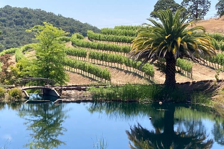 Private Napa and Sonoma Wine Tour: Custom Chauffeured Tastings for Small Groups photo 5