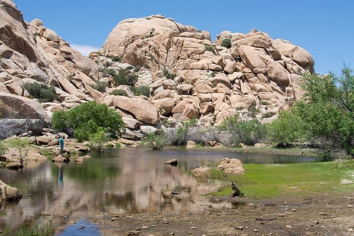 Drive & Discover: Self-Guided Audio Tour Through Joshua Tree National Park photo 6