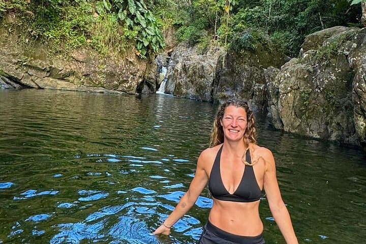 Private El Yunque Rainforest Day Tour with Transport — Guided Hike to Waterfalls & Beach Lunch photo 5