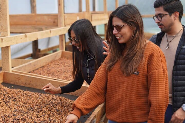 Cobán Coffee Plantation and Orchid Sanctuary: Full-Day Cultural & Nature Tour
