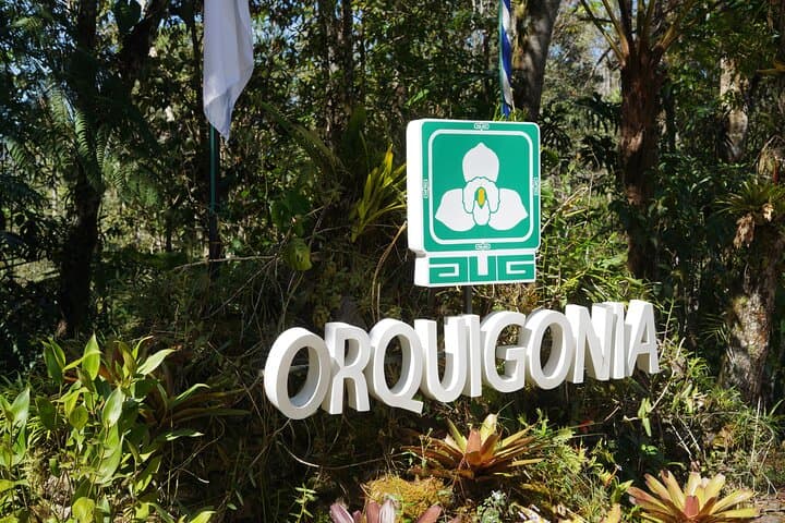 Half-Day Orchid Sanctuary Tour from Cobán — Orquigonia Cloud Forest Experience photo 6