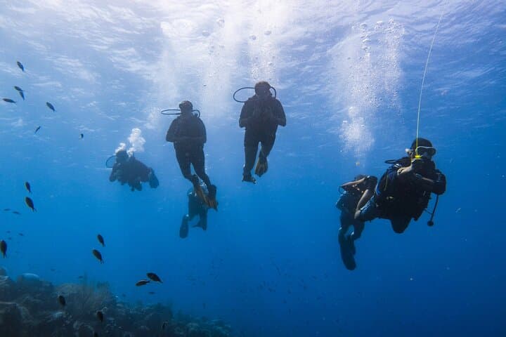 PADI Advanced Open Water Course in Curaçao — 2-Day Certification with Night Dive photo 4