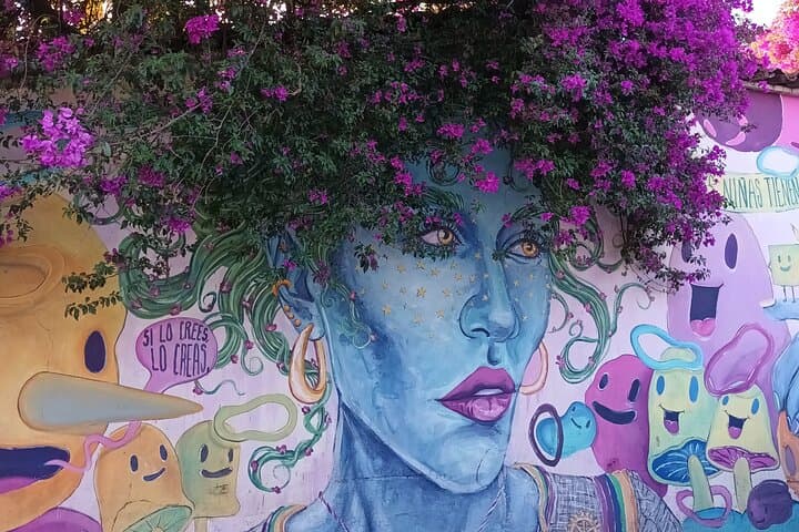 Oaxaca Urban Art Bicycle Tour: Ride Through Murals, Markets & History photo 4