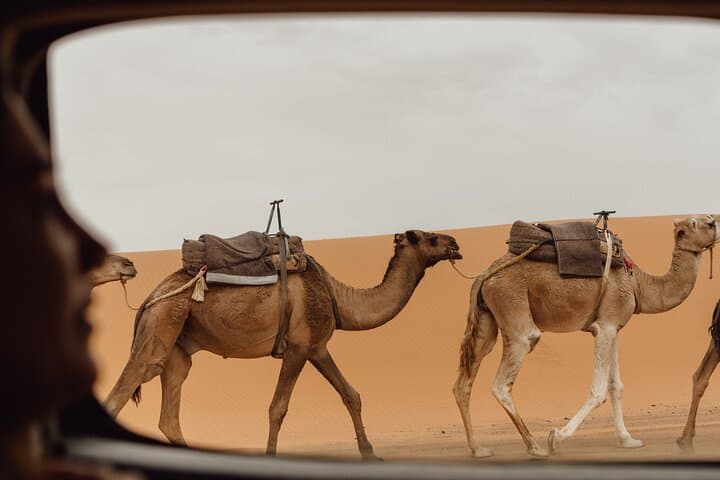 Three-Day Private Desert Crossing: Marrakech to Erg Chegaga photo 3