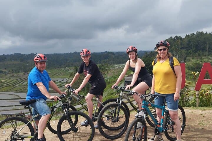 Cycling the Jatiluwih Rice Terraces: 25km Bali UNESCO Heritage Ride
