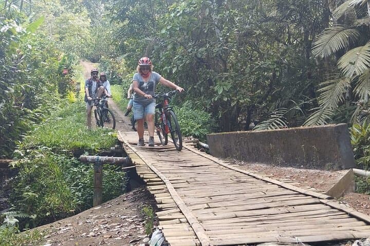 Cycling the Jatiluwih Rice Terraces: 25km Bali UNESCO Heritage Ride photo 2
