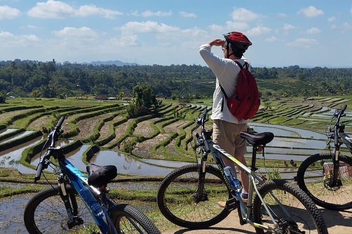 Cycling the Jatiluwih Rice Terraces: 25km Bali UNESCO Heritage Ride photo 3