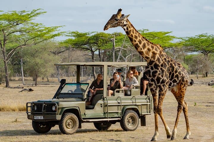 2-Day Night Game Drive Safari in Nyerere (Selous) from Zanzibar photo 3