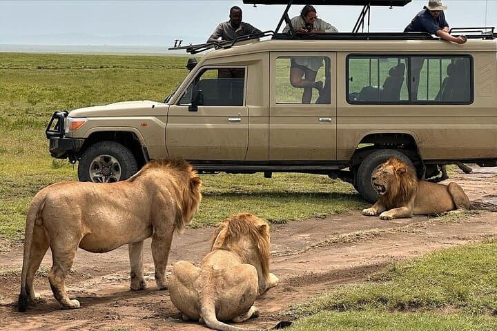 7-Day Private Tanzania Safari: Tarangire, Serengeti & Ngorongoro Wildlife Tour photo 2