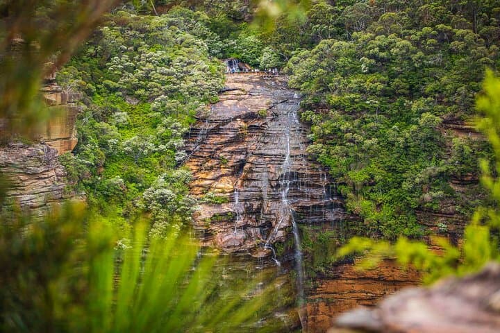 Luxury Small-Group Blue Mountains Escape: Lincoln's Rock, Featherdale & Jamison Valley photo 3