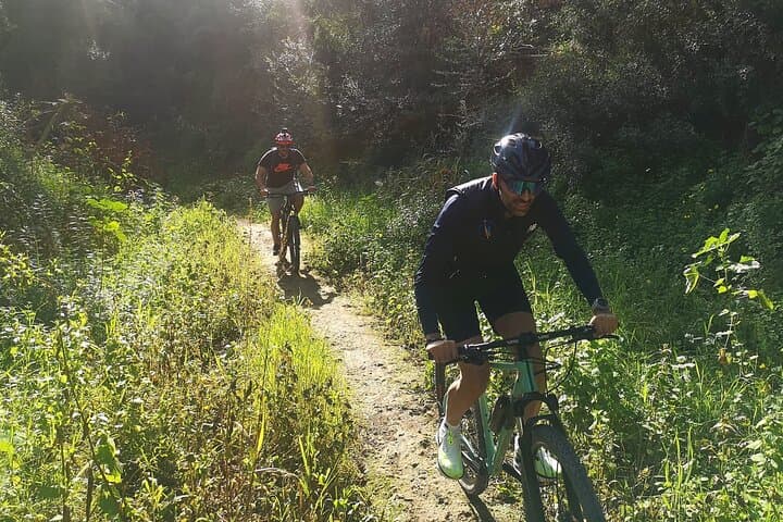 MTB Loop: Bellver Forest to Na Burguesa — Palma Guided Ride (E‑MTB Option) photo 3