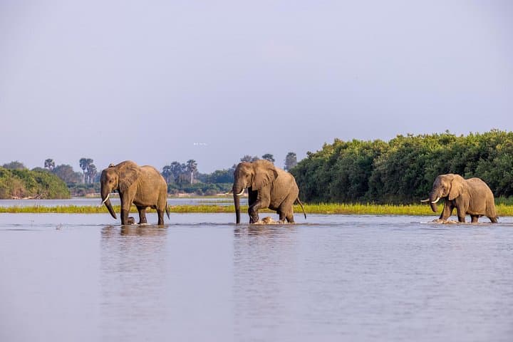 3-Day Safari from Zanzibar to Nyerere National Park (Selous) photo 1