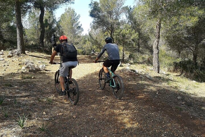 MTB Loop: Bellver Forest to Na Burguesa — Palma Guided Ride (E‑MTB Option) photo 4