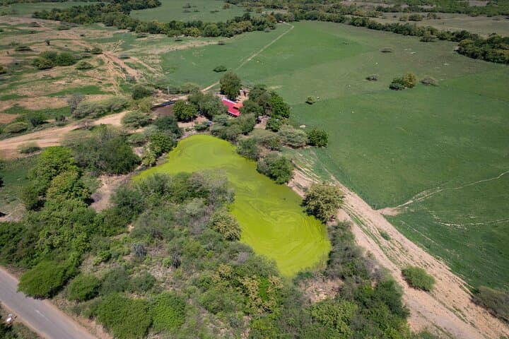 Tatacoa Desert Day Trip from Neiva: Community & Biodiversity Tour photo 3