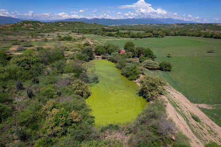 Tatacoa Desert Day Trip from Neiva: Community & Biodiversity Tour photo 4