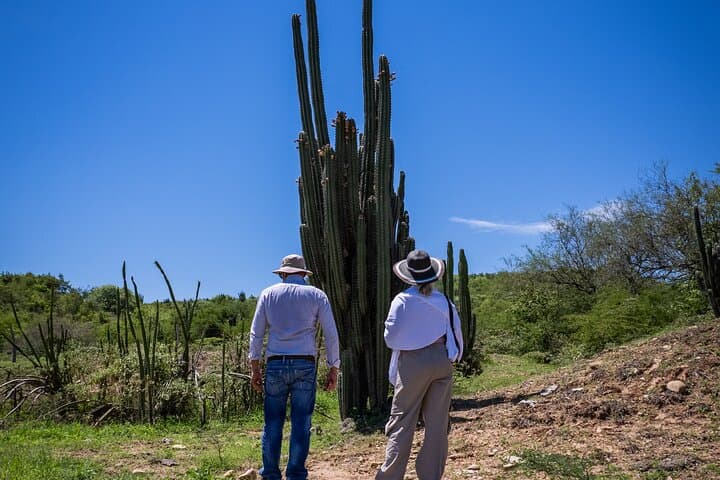 Tatacoa Desert Day Trip from Neiva: Community & Biodiversity Tour photo 6