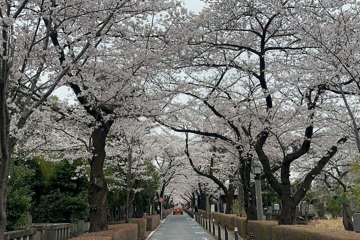 One-Day Private Tokyo Tour: Top Sights with a Local Guide