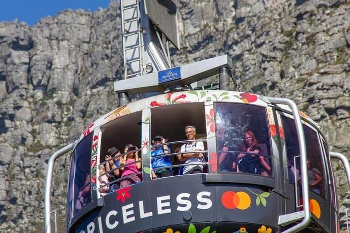 Cape Peninsula Private Tour: Table Mountain, Cape of Good Hope & Boulders Penguin Colony photo 2