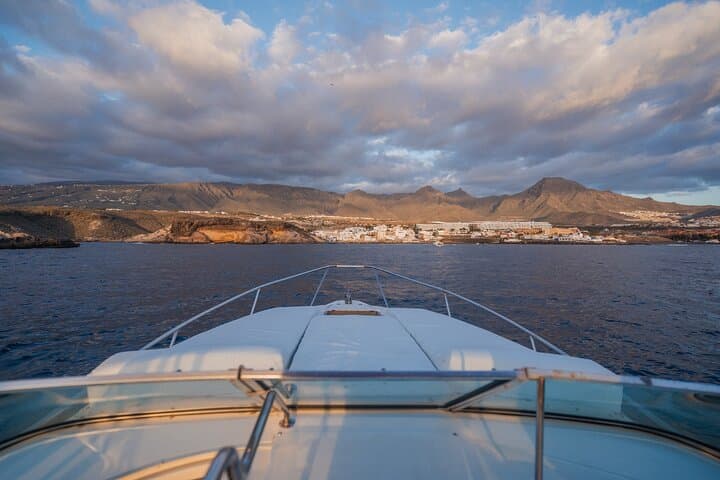 Luxury Catamaran Whale & Dolphin Private Charter — Tenerife Atlantic Excursion photo 6