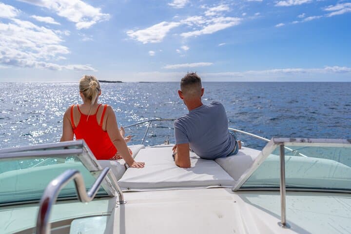 Luxury Catamaran Whale & Dolphin Private Charter — Tenerife Atlantic Excursion