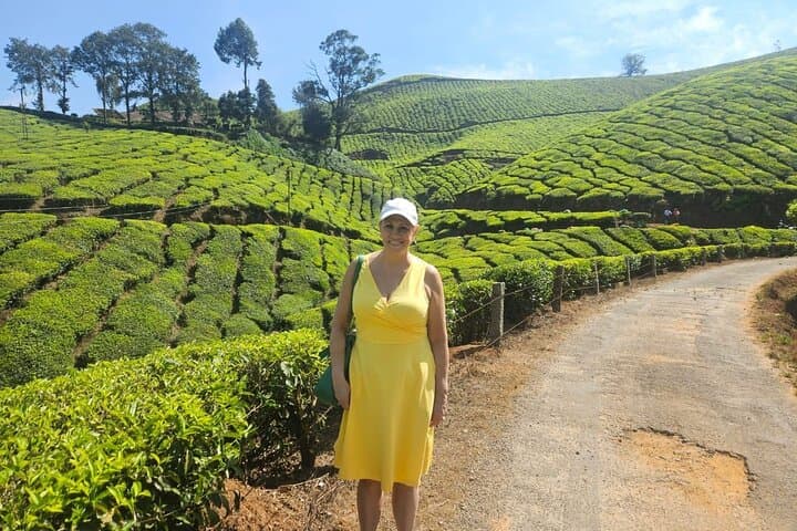 Cochin to Madurai: Backwaters, Tea Estates & Temple Tour (8-Day) photo 2
