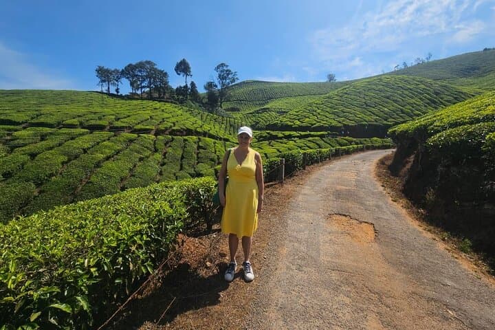 Cochin to Munnar Tranquil Trails: 3-Day Private Tea-Country Escape photo 2