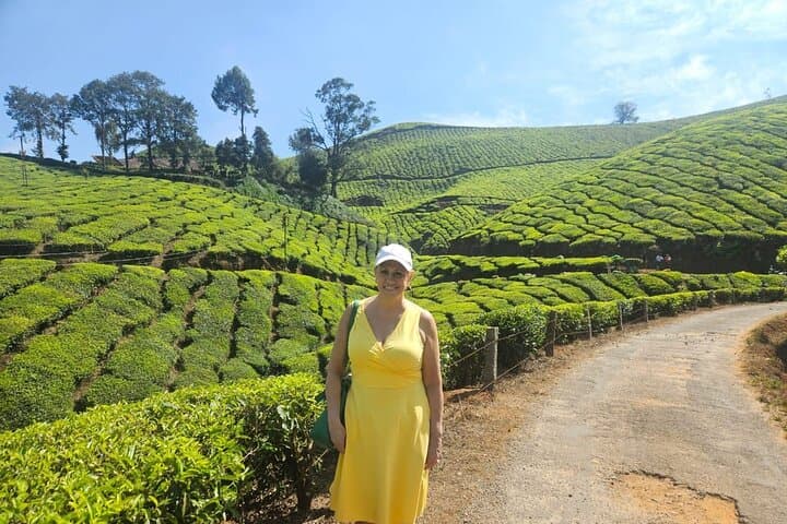 Cochin to Munnar Tranquil Trails: 3-Day Private Tea-Country Escape