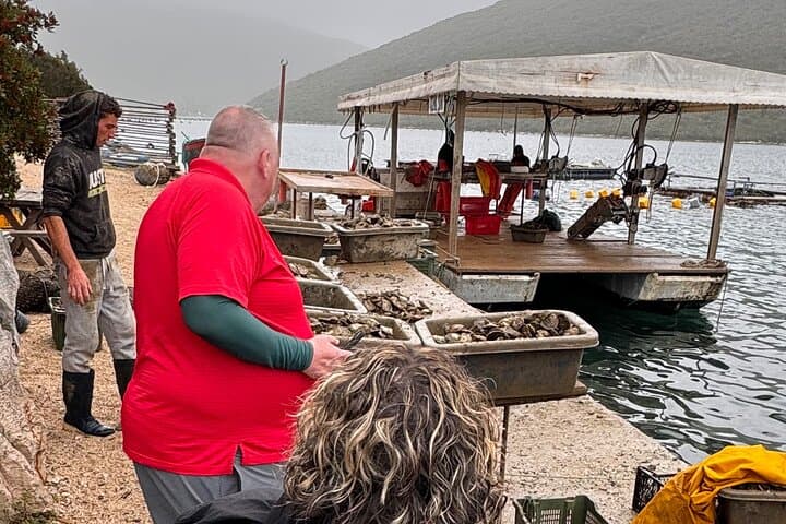 Pelješac Wine & Ston Oysters: Day Trip from Dubrovnik with Farm-to-Table Lunch photo 4