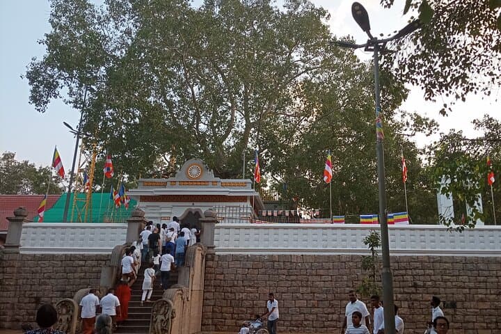 Kandy to Anuradhapura Day Trip: Explore Sri Lanka’s Sacred Ancient Capital photo 5